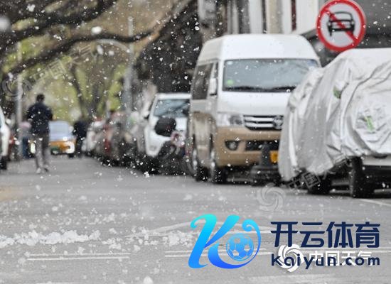 △2025年北京四月飞絮