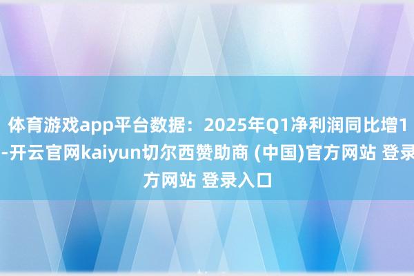 体育游戏app平台数据：2025年Q1净利润同比增120%-开云官网kaiyun切尔西赞助商 (中国)官方网站 登录入口