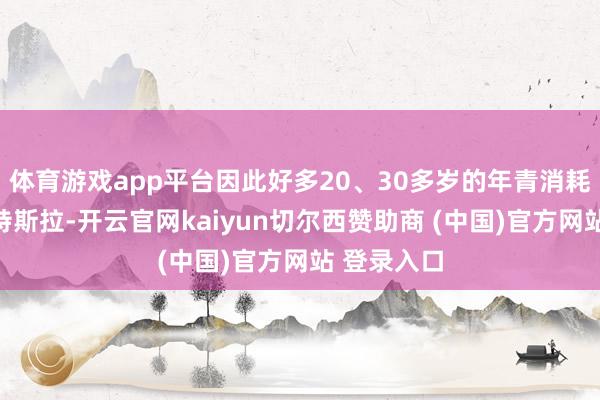 体育游戏app平台因此好多20、30多岁的年青消耗者聘用了特斯拉-开云官网kaiyun切尔西赞助商 (中国)官方网站 登录入口
