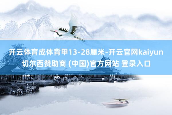 开云体育成体背甲13-28厘米-开云官网kaiyun切尔西赞助商 (中国)官方网站 登录入口
