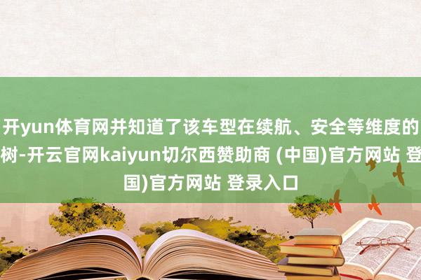 开yun体育网并知道了该车型在续航、安全等维度的中枢建树-开云官网kaiyun切尔西赞助商 (中国)官方网站 登录入口