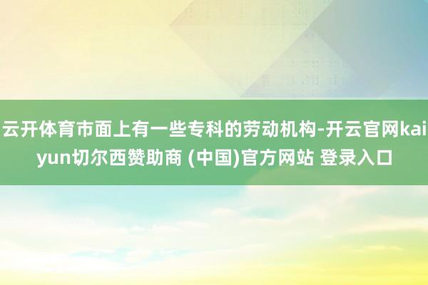 云开体育市面上有一些专科的劳动机构-开云官网kaiyun切尔西赞助商 (中国)官方网站 登录入口