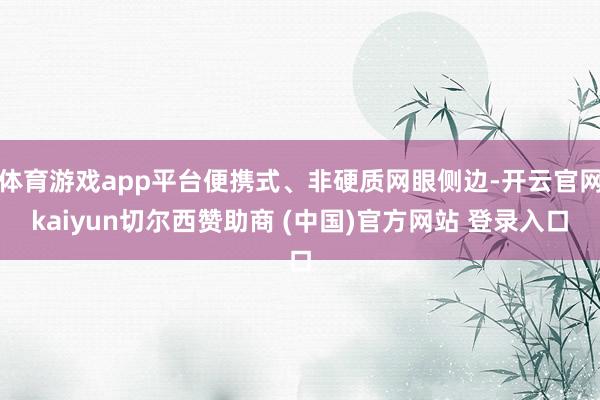 体育游戏app平台便携式、非硬质网眼侧边-开云官网kaiyun切尔西赞助商 (中国)官方网站 登录入口
